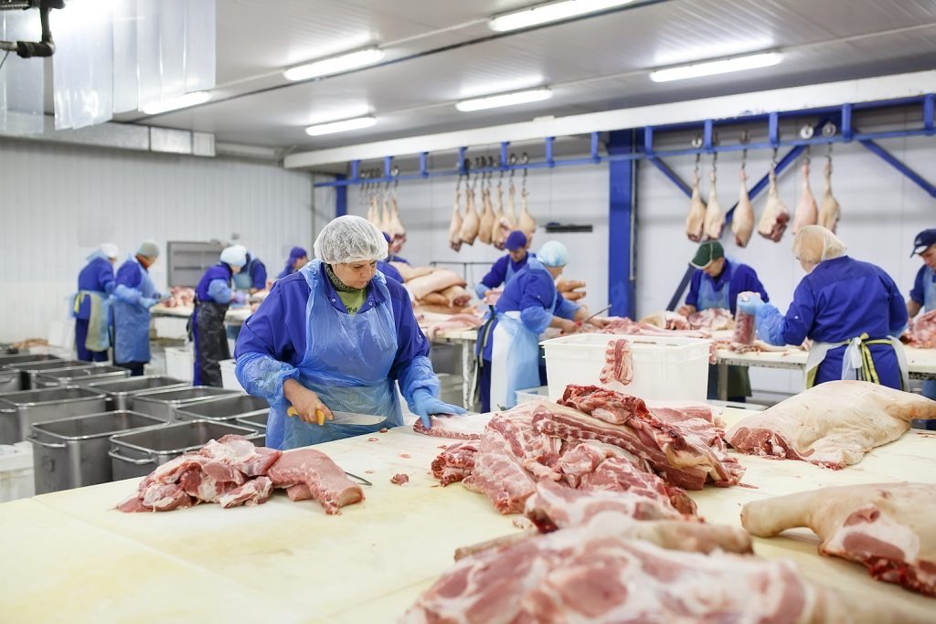 Puertas rápidas Cutting meat in slaughterhouse .